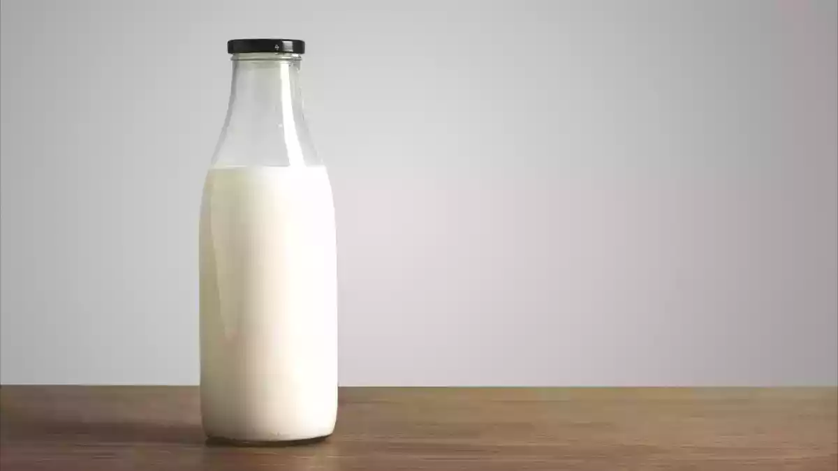 Por que você não deve mais armazenar seu leite na porta da geladeira!