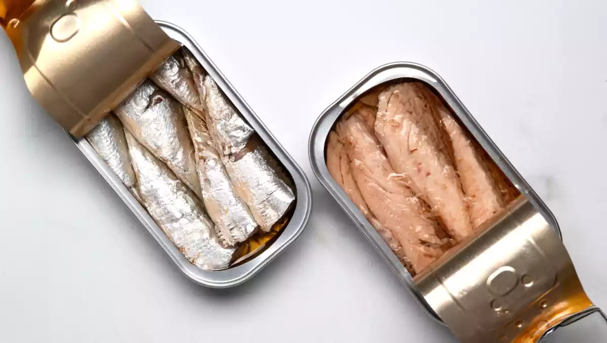 O retorno das sardinhas enlatadas: por que esse pequeno peixe tem tudo a seu favor