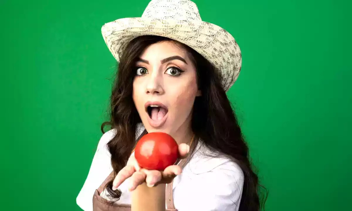 Tomate: fruta ou vegetal? A verdade vai chocá-lo!