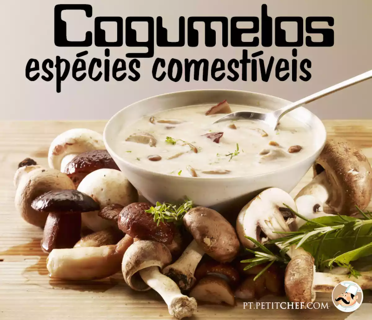 Cogumelos: Espécies Comestíveis