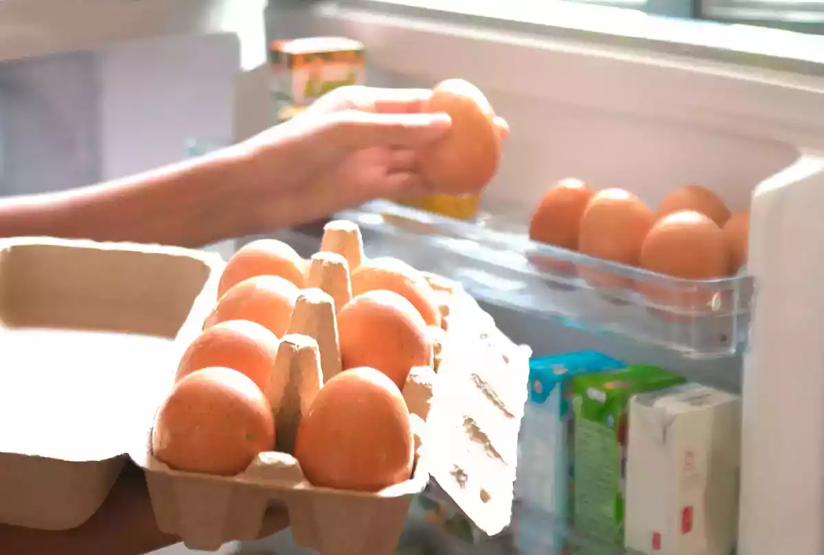 Veja como realmente deveríamos organizar os ovos do supermercado segundo a ciência