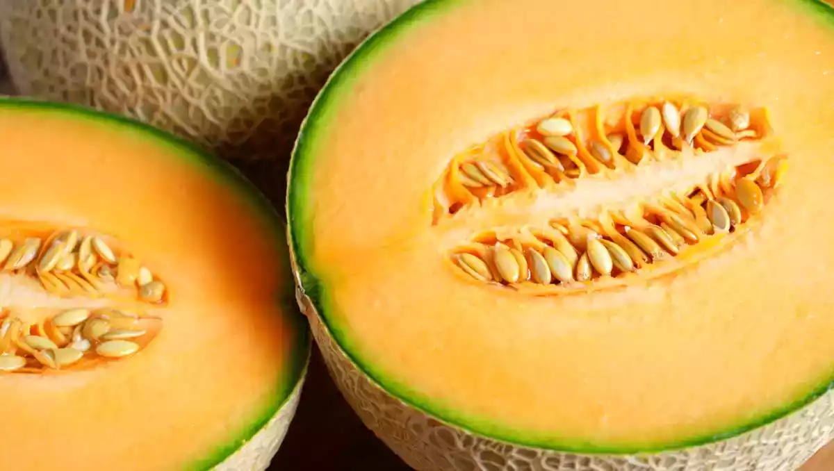 Você escolhe melão do jeito certo? Descubra nossos segredos e 3 receitas fresquinhas para o verão