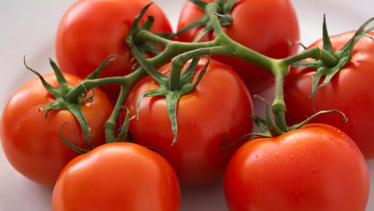 8 receitas com tomate que vão muito além da salada