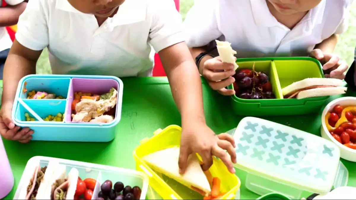 Como preparar 1 semana inteira de lanches escolares em apenas 1 hora
