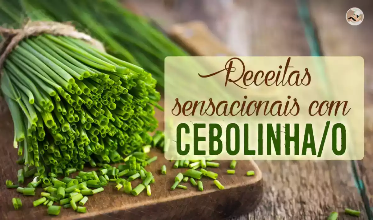 15 receitas sensacionais com cebolinha/cebolinho