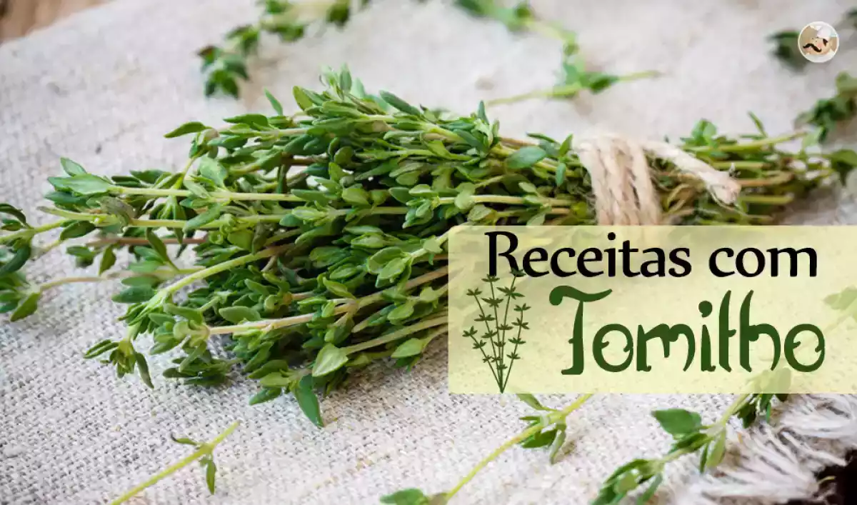 Top 20 de receitas com Tomilho