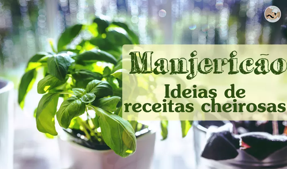 20 ideias de receitas com Manjericão