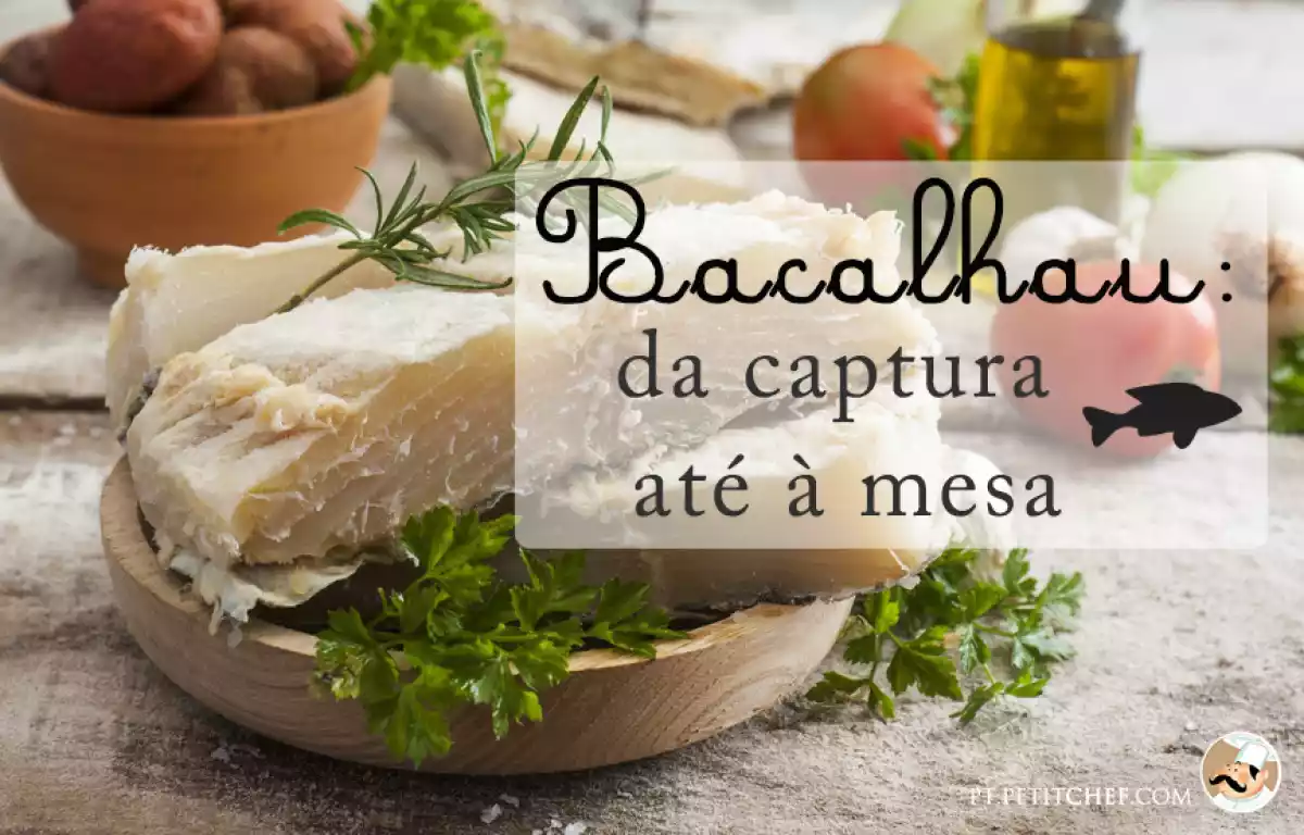 Bacalhau: da captura até à mesa