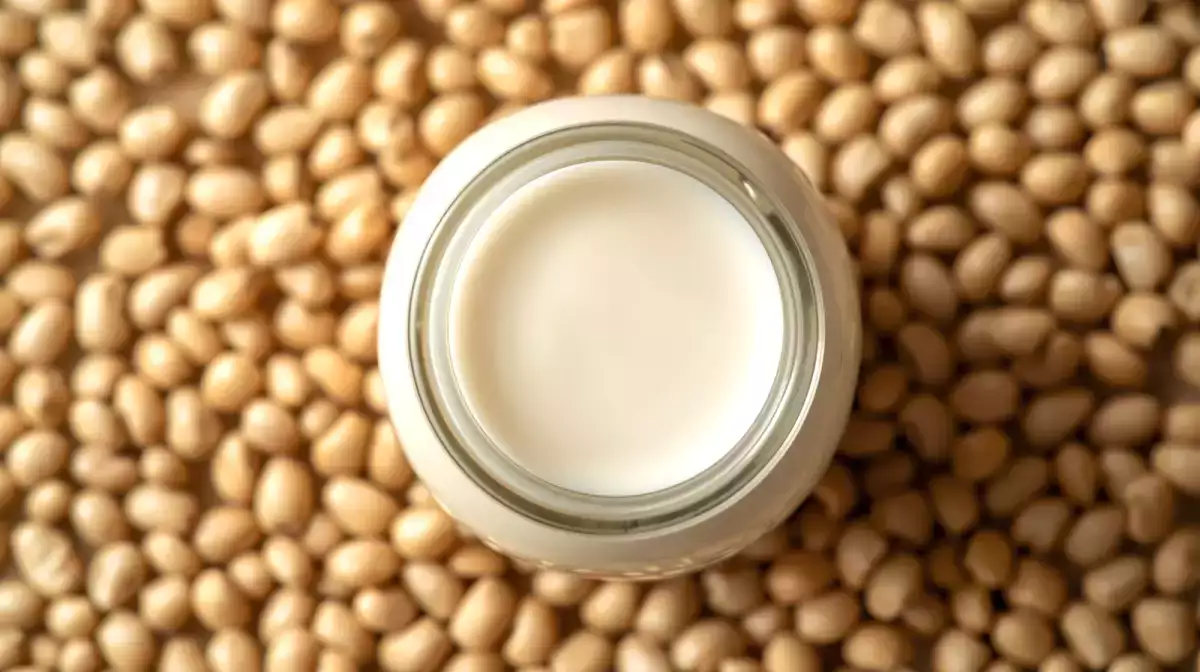 Soja, aveia, amêndoas ou arroz? Descubra qual leite vegetal realmente entrega o que promete