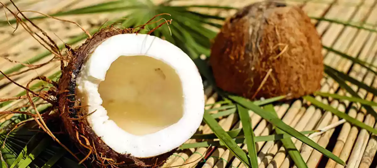 Como escolher um coco?