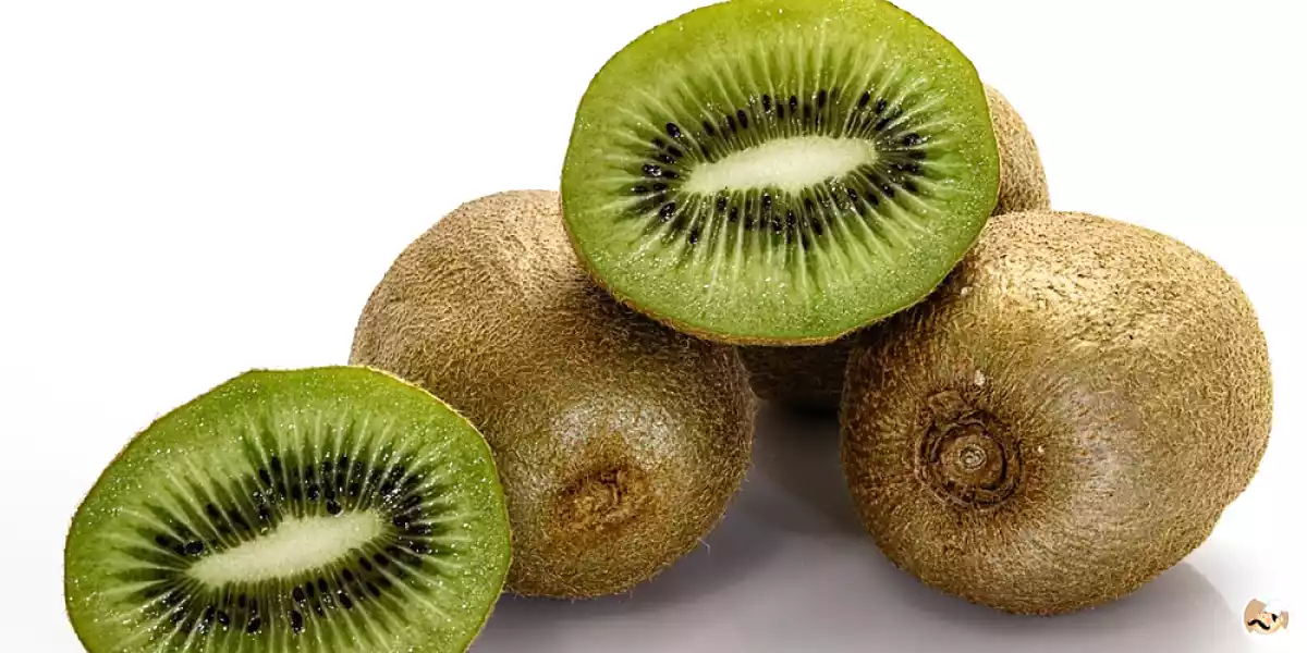 Como escolher um Kiwi?