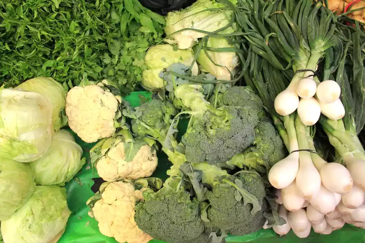 10 Alimentos com calorias negativas