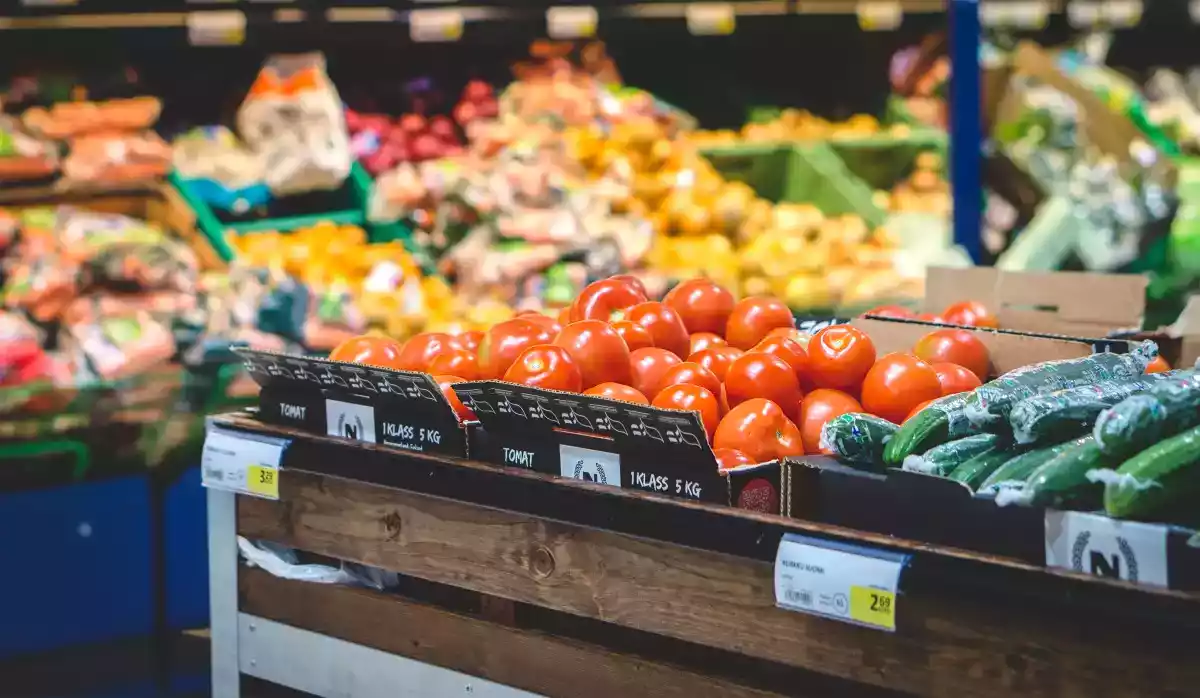 Depois das compras: Como conservar os alimentos?