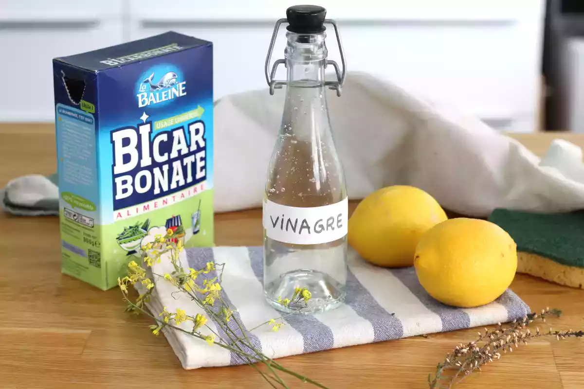 Limpeza ecológica: O poder do Vinagre