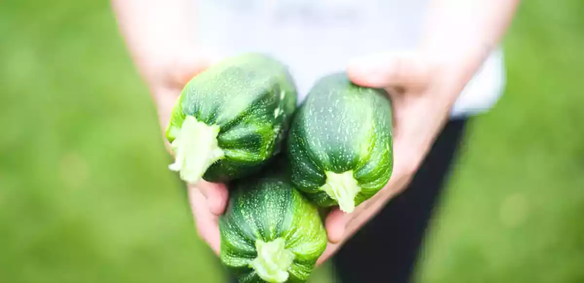 Como se proteger dos alimentos contaminados por agrotóxicos?