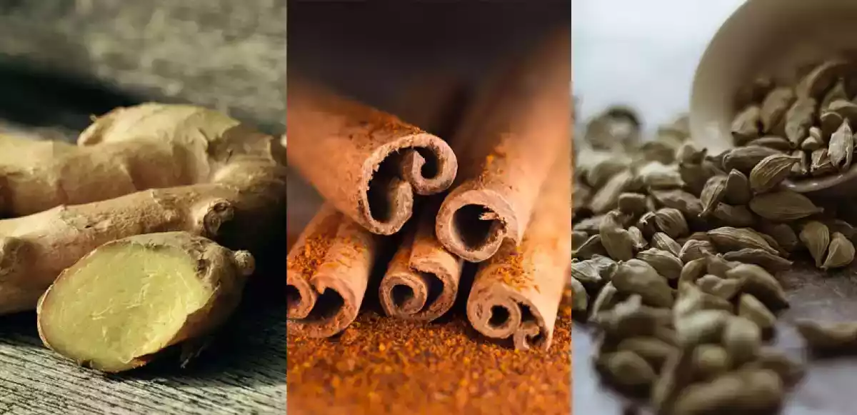 Gengibre, Canela e Cardamomo: o trio afrodisíaco