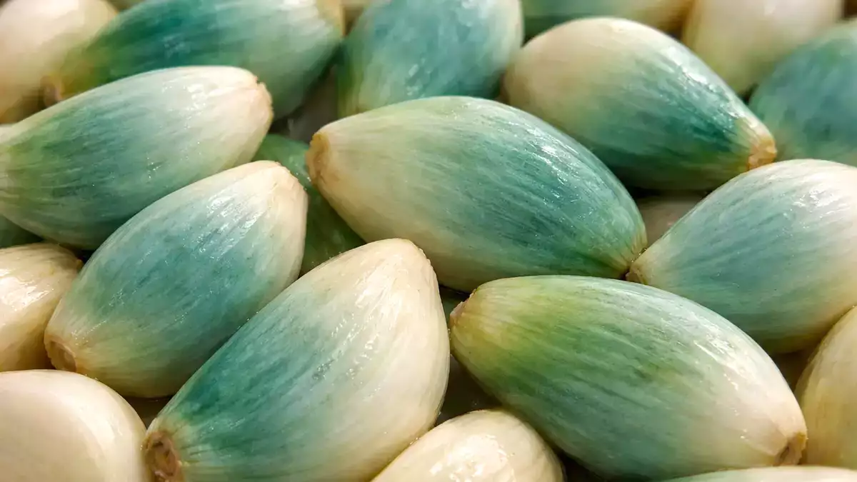 Alho verde ou azul na sua cozinha? Muita gente joga fora sem entender o que isso realmente significa