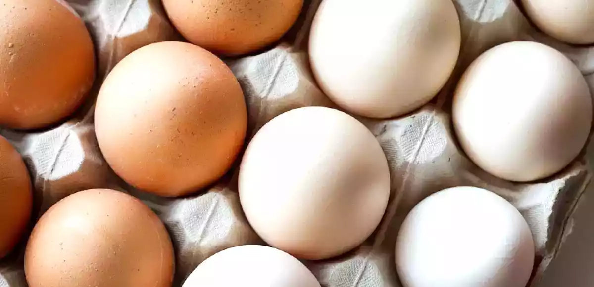 Quanto tempo dura o OVO na geladeira?