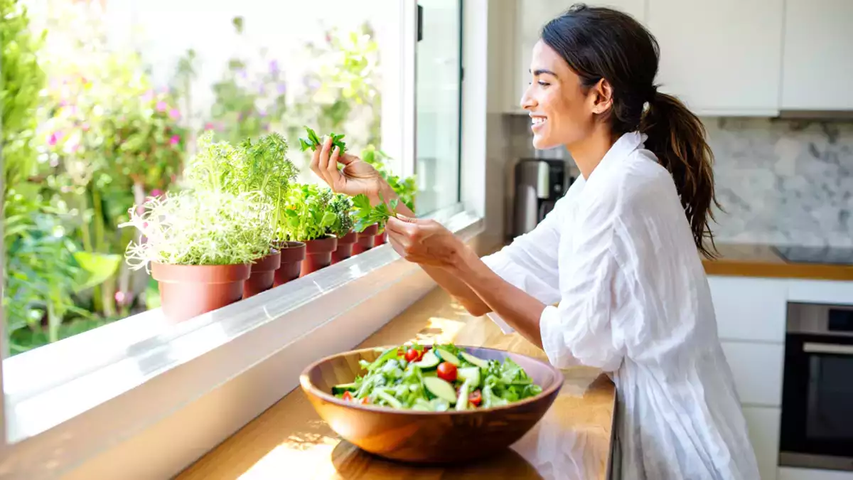 5 ervas que vivem melhor dentro da cozinha e 5 que precisam de sol de verdade