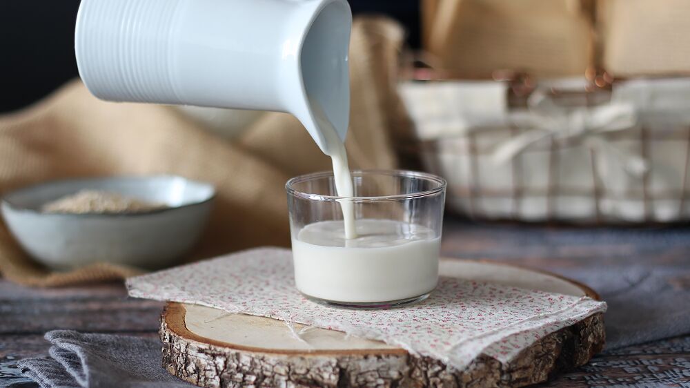 Como fazer leite de aveia caseiro? A bebida vegetal super fácil e rápida!