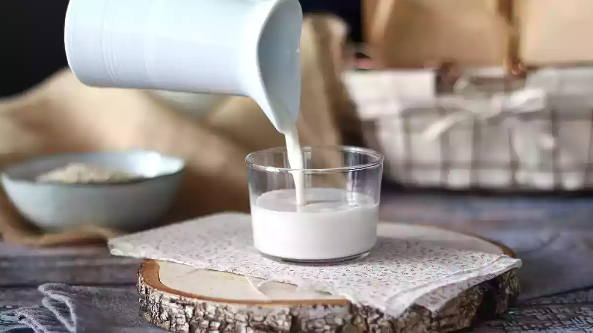 Como fazer leite de aveia caseiro? A bebida vegetal super fácil e rápida!