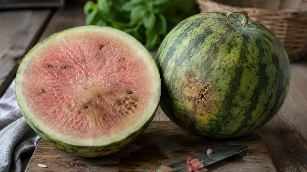 Como identificar uma melancia que não está boa? Nossas melhores dicas!