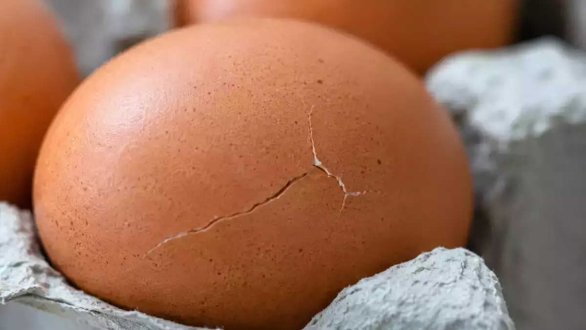 Você comeria um ovo com uma pequena rachadura? O detalhe que faz toda a diferença