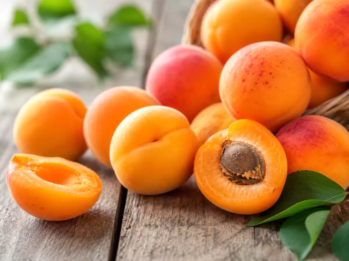 Os alperces estão mais baratos agora: 12 receitas para aproveitar a fruta da estação