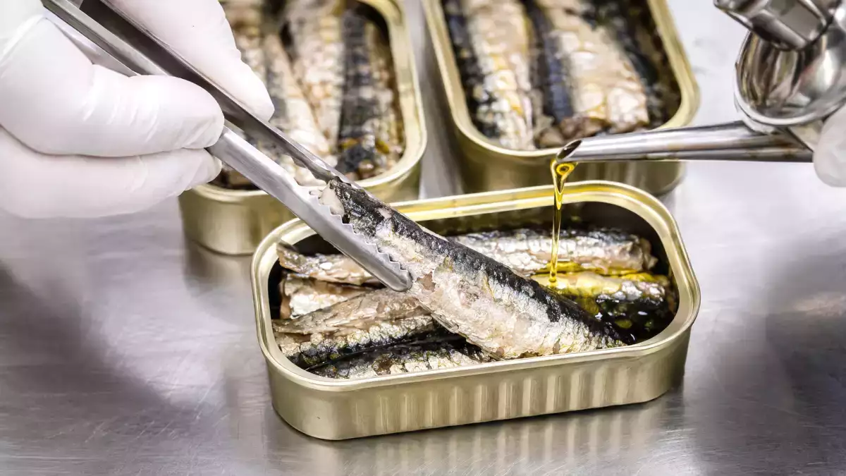 A verdade sobre a sardinha em lata que deixou muita gente surpresa depois de descobrir como ela é feita