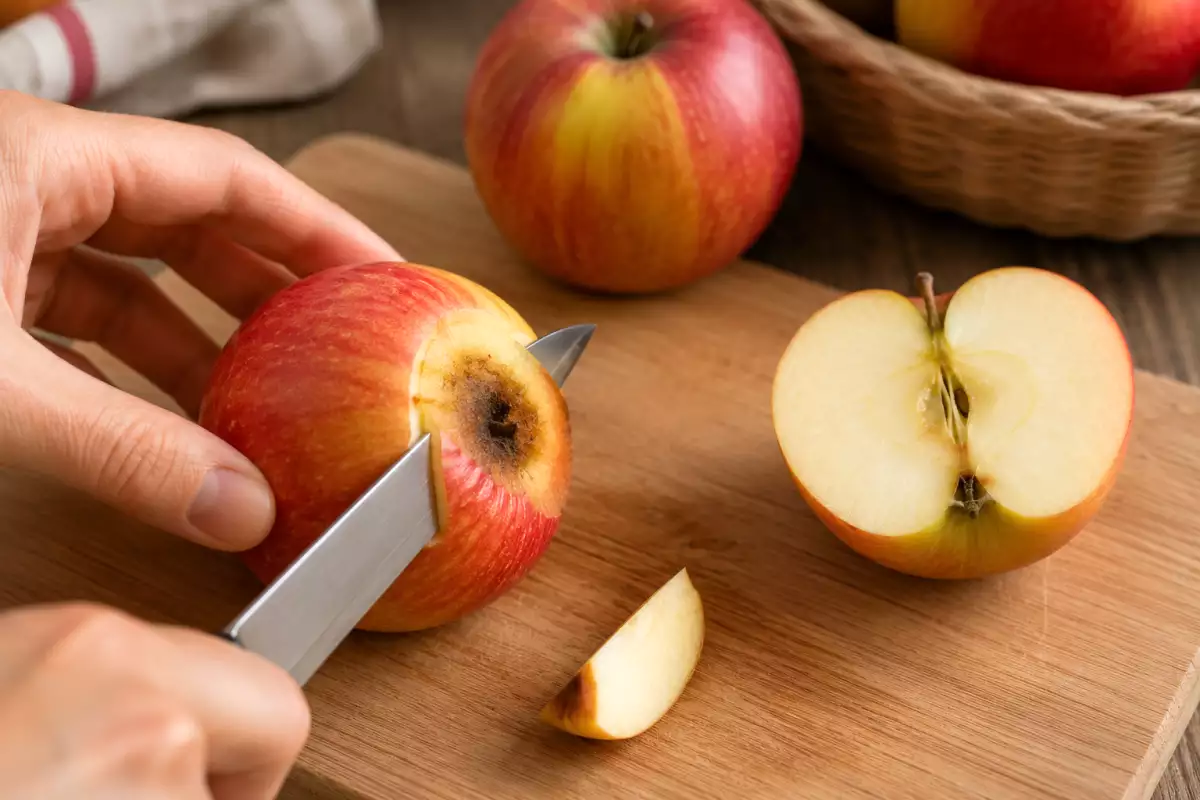 É possível comer uma fruta mofada depois de cortar a parte estragada?