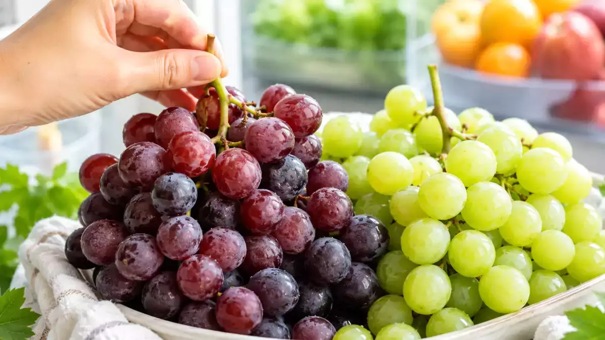 Escolher uvas de mesa doces e fazê-las durar: o truque simples para as conservar em casa