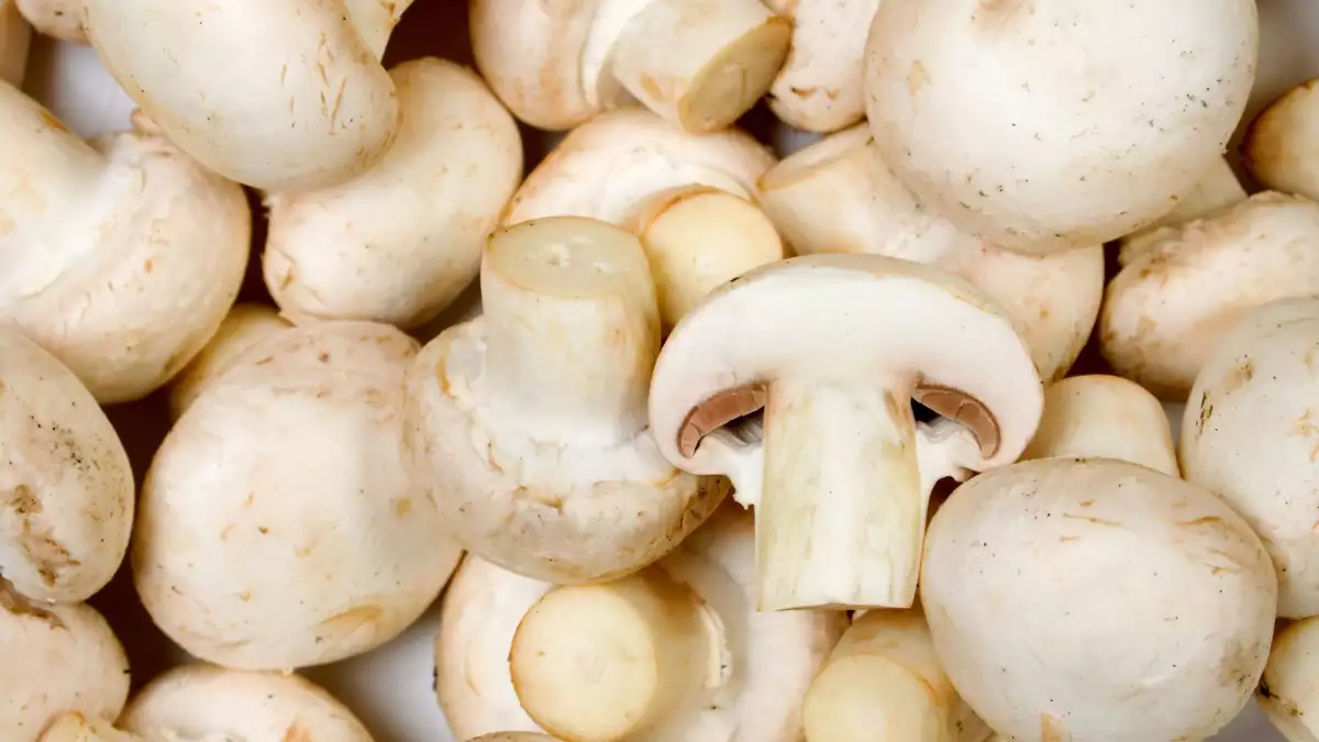 Seus cogumelos estão um pouco escuros? Veja aqui quando cozinhá-los e quando jogá-los fora