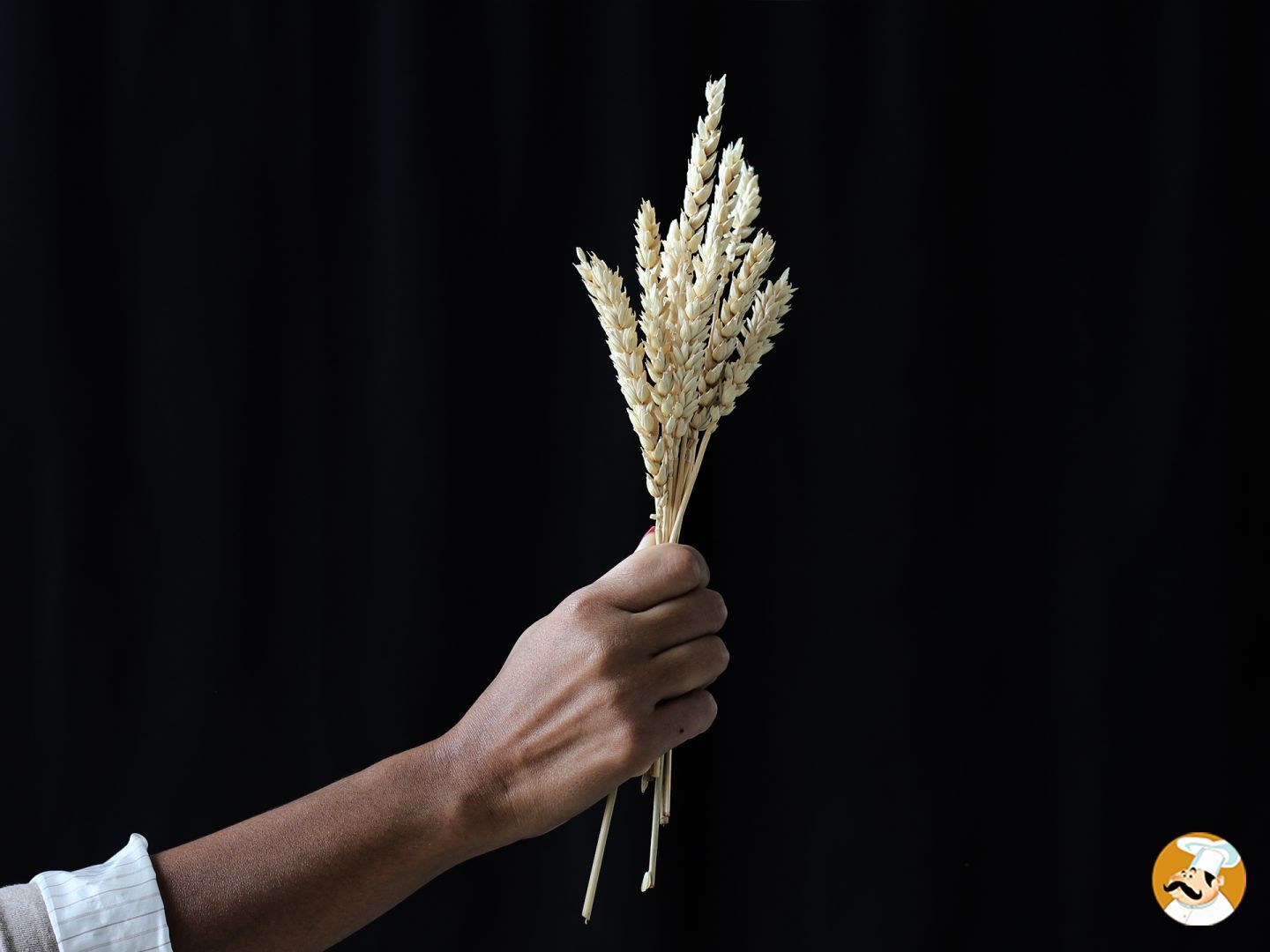 Cozinhe sem glúten: Tudo o que você precisa saber sobre a substituição da farinha de trigo!