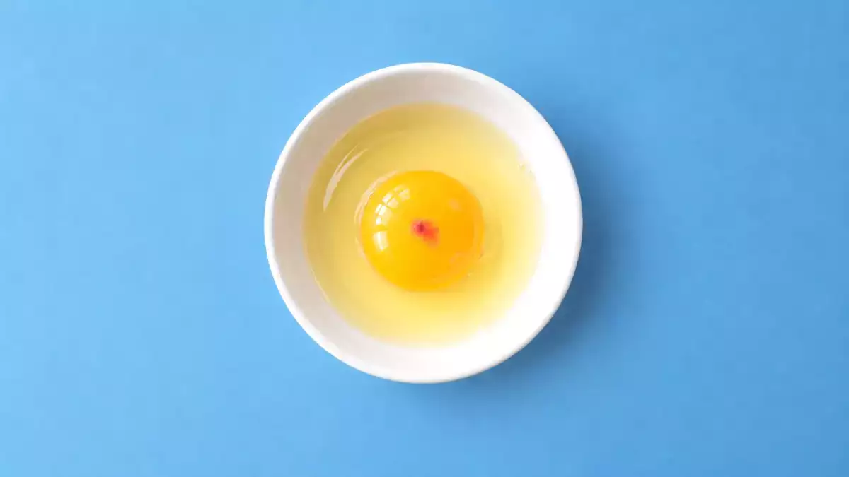 Uma mancha vermelha no ovo pode causar surpresa: veja o que é esse pontinho e se dá para comer
