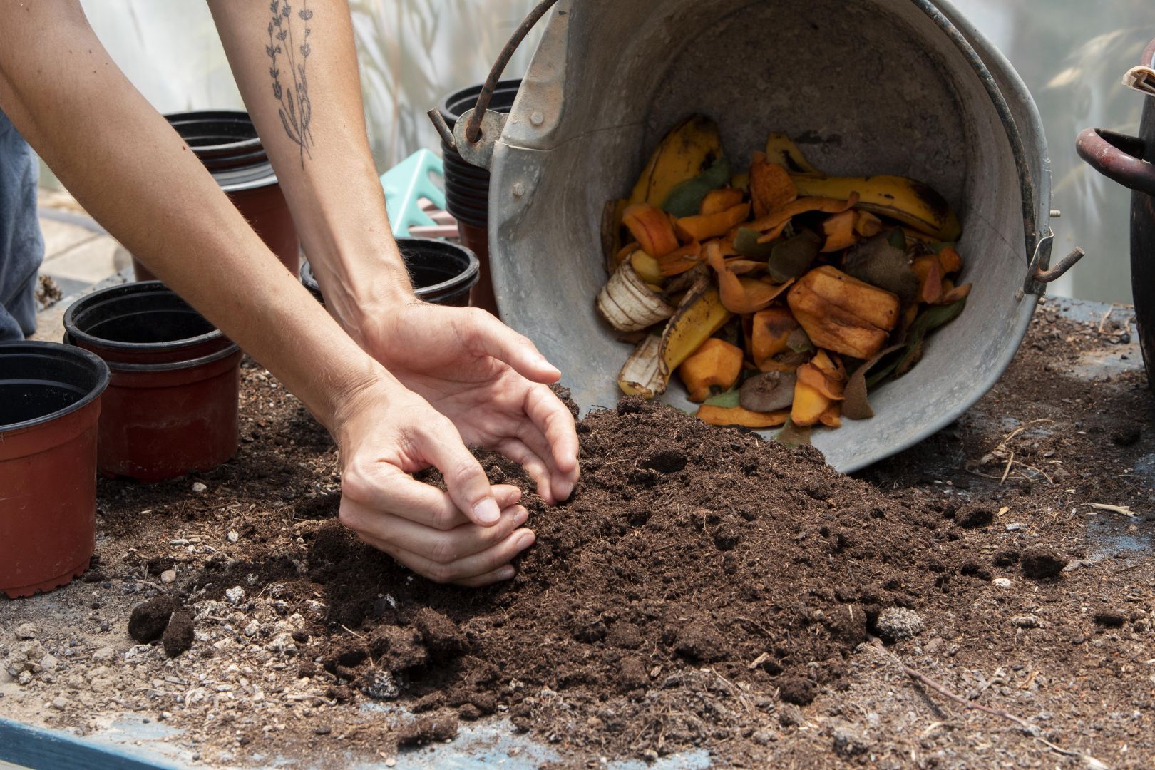 Estes 5 alimentos que você nunca deve colocar em sua composteira