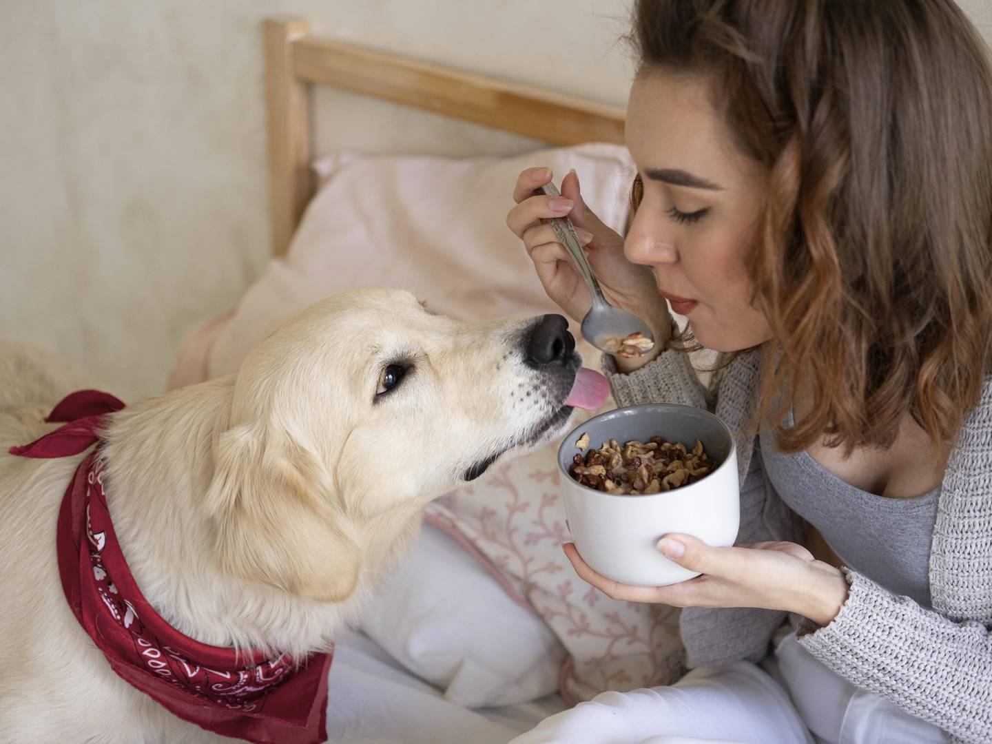 8 alimentos que você definitivamente não deve dar ao seu cachorro!