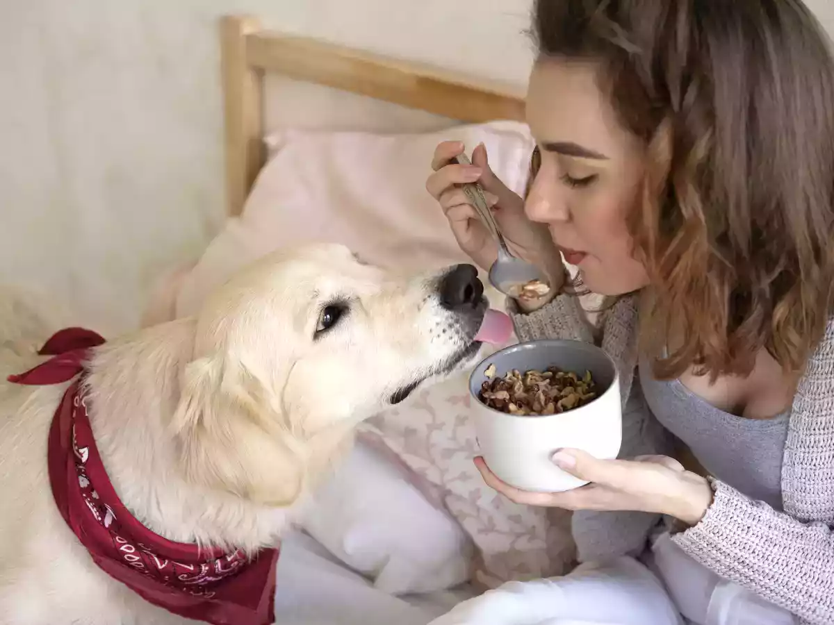 8 alimentos que você definitivamente não deve dar ao seu cachorro!