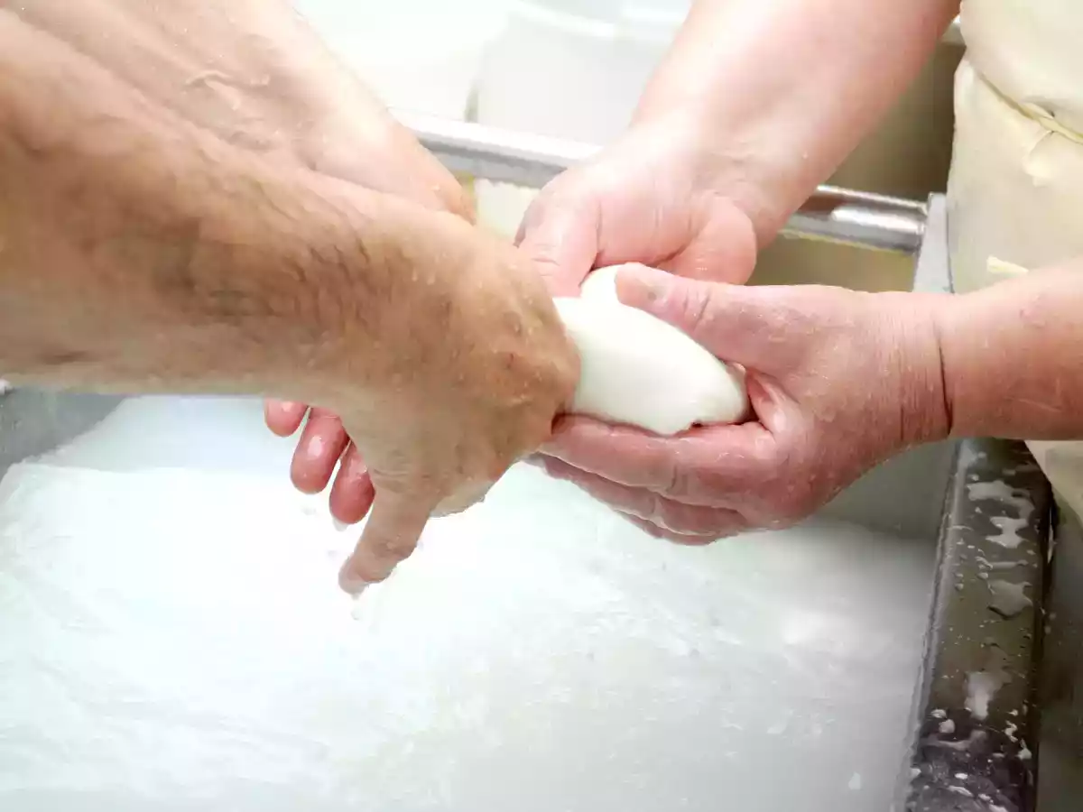 5 dicas simples para tirar o excesso de água da mussarela e fazer de suas receitas um sucesso!
