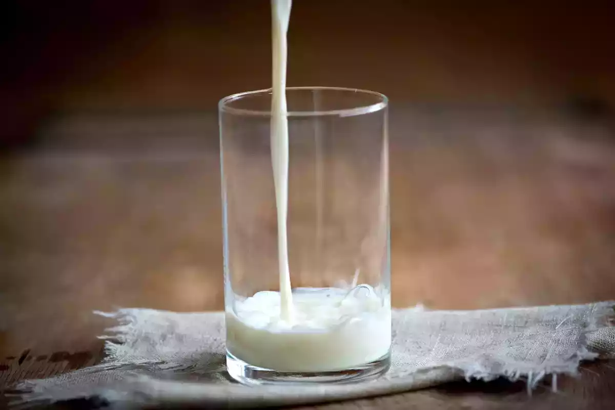 Devo parar de beber leite de vaca?