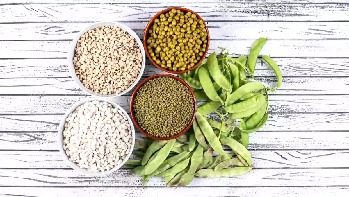 Melhore sua saúde metabólica com essas 5 poderosas proteínas vegetais!