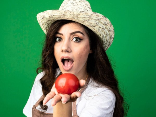Tomate: fruta ou vegetal? A verdade vai chocá-lo!