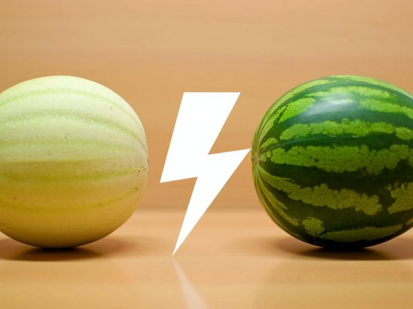 Melão x melancia: qual hidrata melhor?
