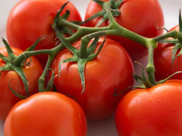 8 receitas com tomate que vão muito além da salada