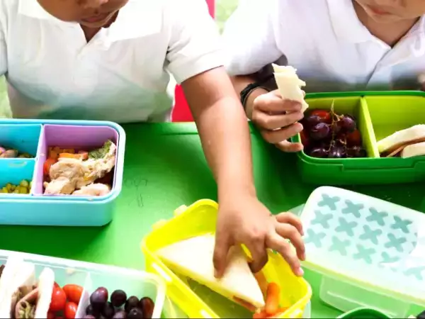Como preparar 1 semana inteira de lanches escolares em apenas 1 hora