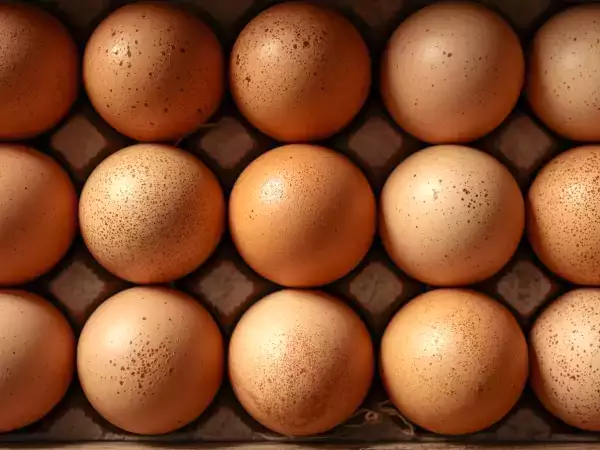 Proteína, colesterol, energia... o que acontece se você comer ovos todos os dias?