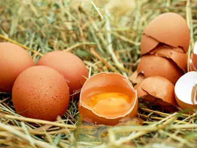 O que significa o código na casca do ovo?