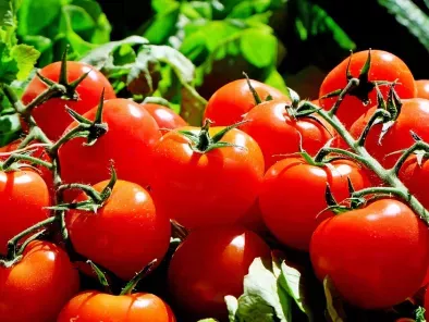 Como descascar os tomates facilmente?