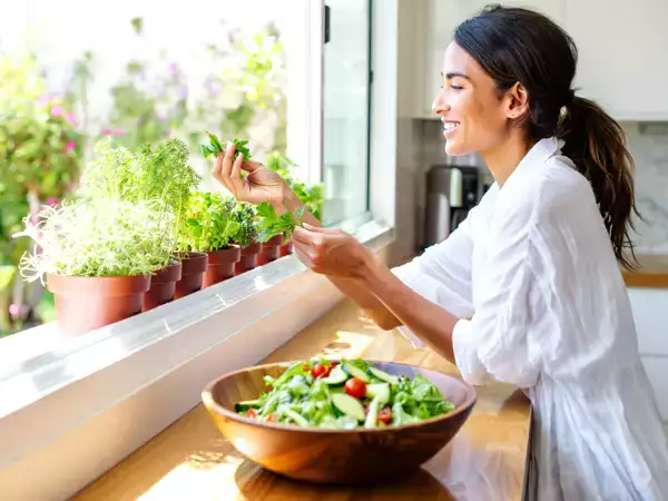 5 ervas que vivem melhor dentro da cozinha e 5 que precisam de sol de verdade