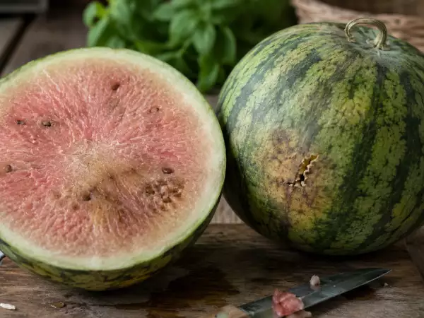 Como identificar uma melancia que não está boa? Nossas melhores dicas!
