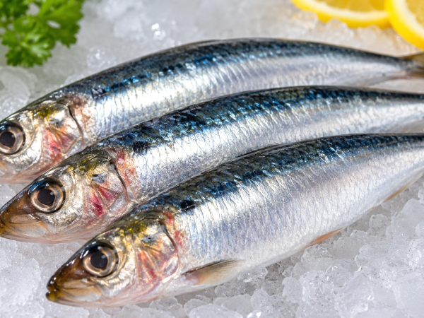 Como identificar uma sardinha que não está boa? Os sinais que nunca deve ignorar